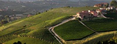 4.3. - ONLINE Degustácia s vinárstvom Antinori